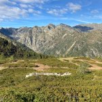 Mosaico con alternanza di zone aperte e di zone chiuse per la fase riproduttiva e lo sviluppo delle nidiate di Fagiano di monte - Foto p.g.c EGAP Valle Sesia